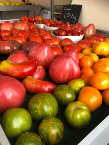 Tomates anciennes