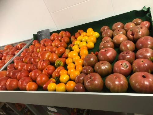 Tomates anciennes